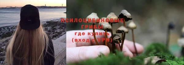 марки lsd Заводоуковск