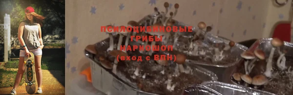 дурь Заволжск