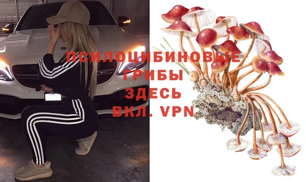 марки lsd Заводоуковск
