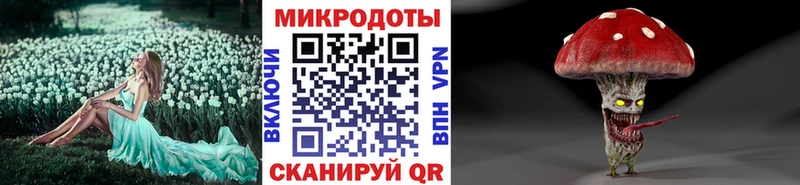 Псилоцибиновые грибы Magic Shrooms  Купить  Кингисепп 